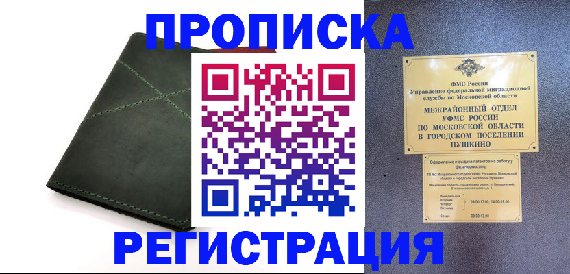 прописка в квартире в Купино